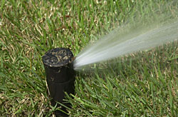 Photo: Sprinkler